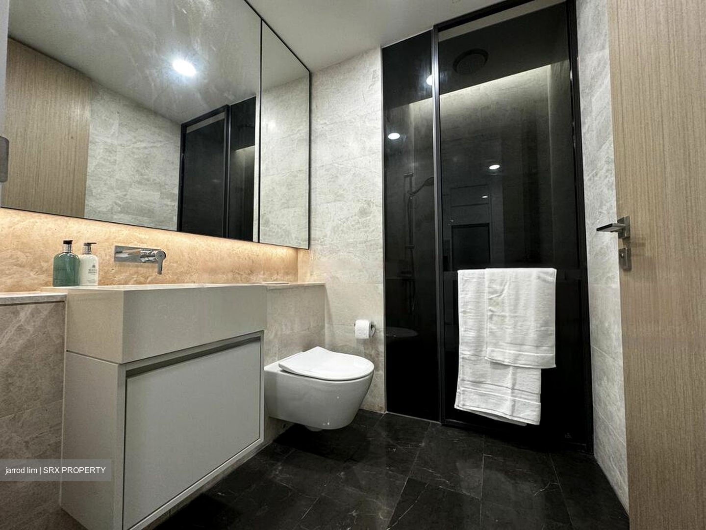 Amber Park (D15), Condominium #598171461